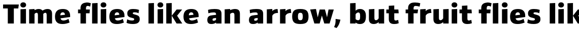 Yefimov Sans Black