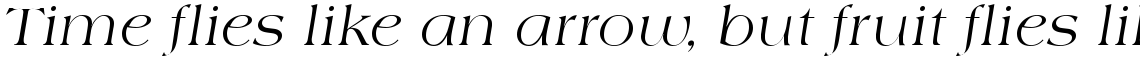 Americana SB Regular Italic