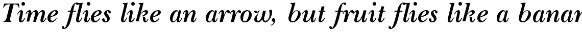 SG Baskerville SB Bold Italic