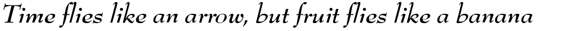 Bernhard Modern SB Bold Italic