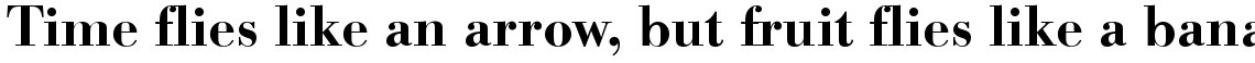 SG Bodoni No. 1 SB Medium