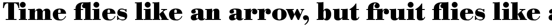 SG Bodoni No. 1 SB Bold