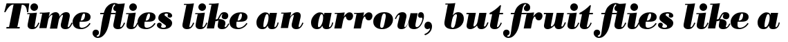 SG Bodoni No. 1 SB Bold Italic