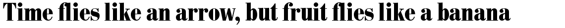 SG Bodoni No. 1 SB Bold Condensed