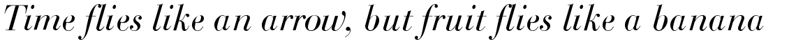 SG Bodoni SB Roman Italic
