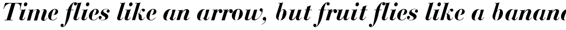 SG Bodoni SB Medium Italic