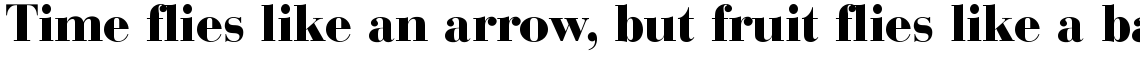 SG Bodoni SB Bold