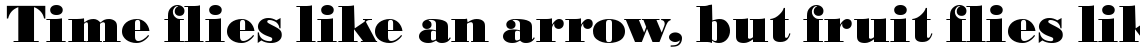 SG Bodoni SB Extra Bold
