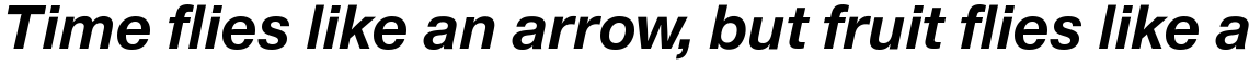 Europa Grotesk No. 2 SB Bold Italic