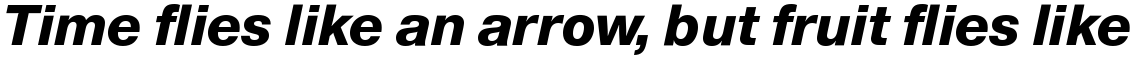 Europa Grotesk No. 2 SB Extra Bold Italic