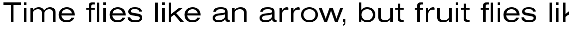 Europa Grotesk SB Regular Extended