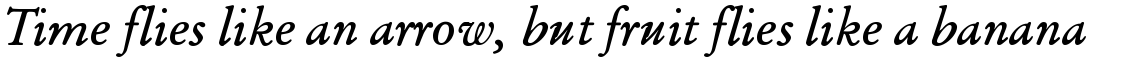 SG Garamond SB Roman Italic