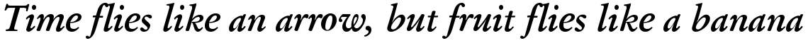 SG Garamond SB Medium Italic