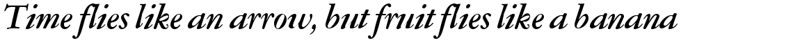 SG Garamont Amsterdam SB Medium Italic