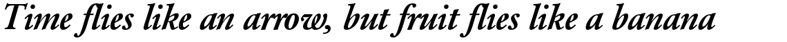 SG Garamond No. 2 SB Medium Italic