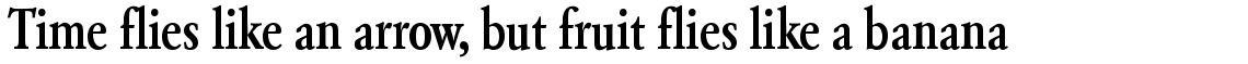 SG Garamond No. 2 SB Medium Condensed