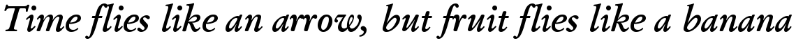 SG Garamond No. 1 SB Medium Italic