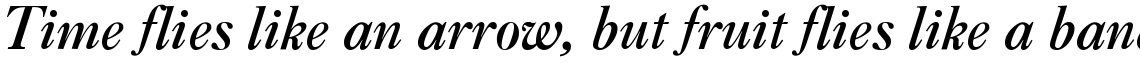 New Caslon SB Medium Italic