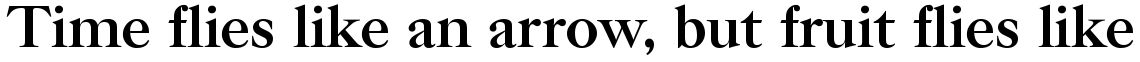 New Caslon SB Bold