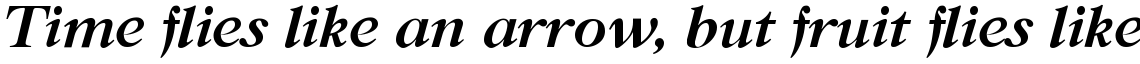 New Caslon SB Bold Italic