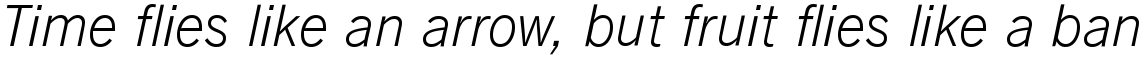 News Gothic SB Light Italic