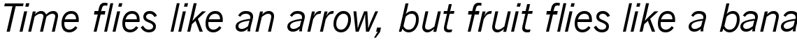 News Gothic SB Roman Italic