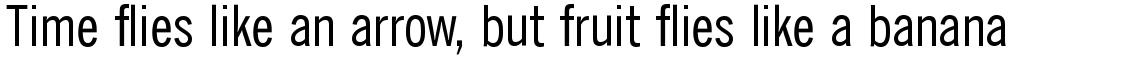 News Gothic SB Roman Condensed