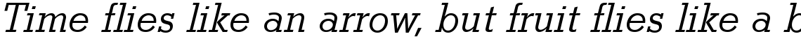 Stymie SB Light Italic