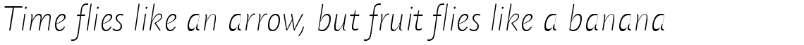 Today Sans Serif SB Extra Light Italic