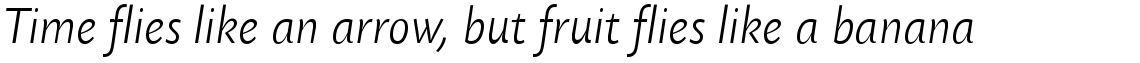 Today Sans Serif SB Light Italic