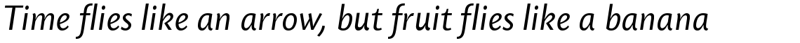 Today Sans Serif SB Regular Italic