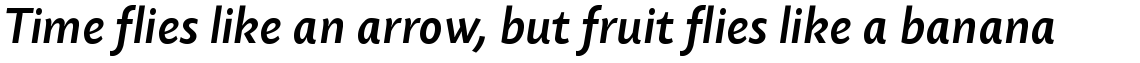 Today Sans Serif SB Medium Italic