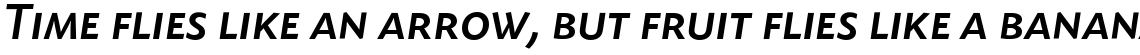 Today Sans Serif SB Medium Italic Small Caps SC