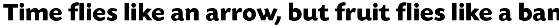 Today Sans Serif SB Bold
