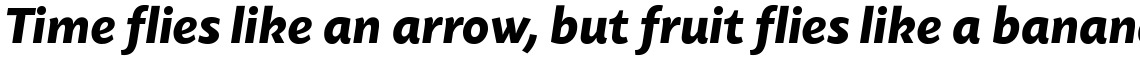 Today Sans Serif SB Bold Italic