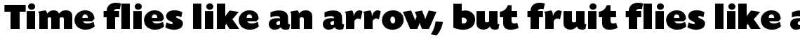Today Sans Serif SB Ultra