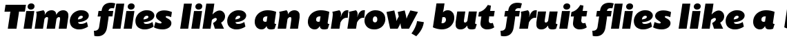 Today Sans Serif SB Ultra Italic