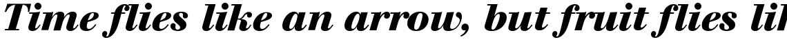 SG Walbaum SB Bold Italic