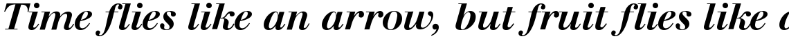 SG Walbaum SB Medium Italic