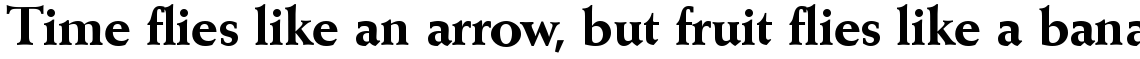Weiss SB Bold