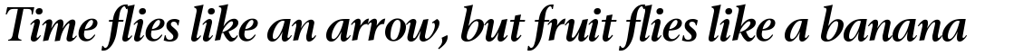 Berling SH Bold Italic