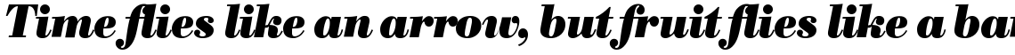 SG Bodoni No. 1 SH Bold Italic