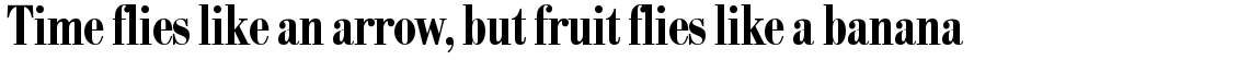 SG Bodoni No. 1 SH Medium Condensed