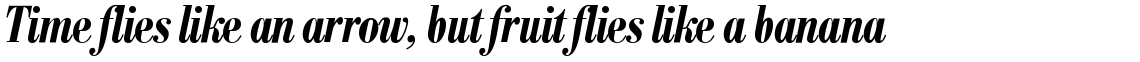 SG Bodoni No. 1 SH Medium Condensed Italic