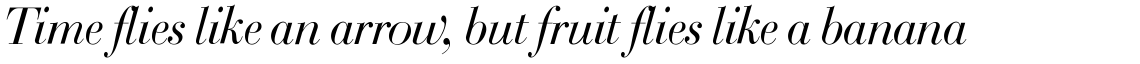 SG Bodoni SH Roman Italic