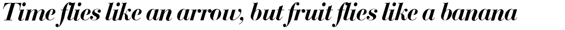SG Bodoni SH Medium Italic