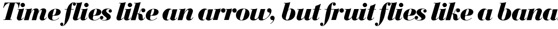 SG Bodoni SH Bold Italic