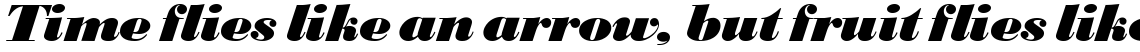 SG Bodoni SH Extra Bold Italic