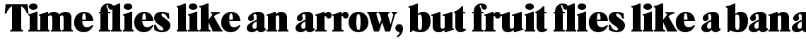 TSI Caslon Black SH Regular