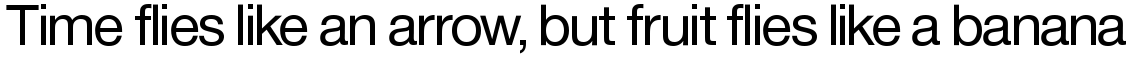 Europa Grotesk No. 2 SH Roman